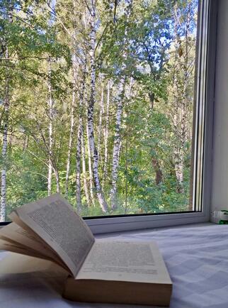 книга