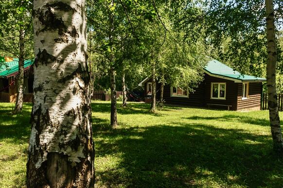 Лесной теремок